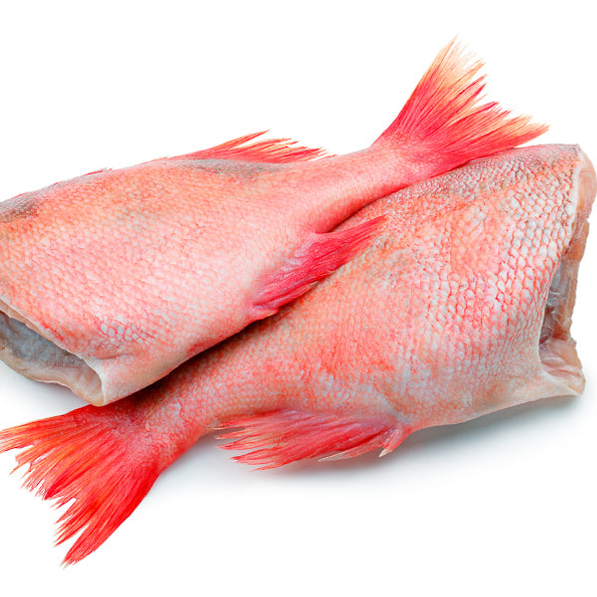 Red Bream Fish (Headless) 1kg - Buy Frozen meat, Fish & Poultry Online UK | 3SIEE Foods