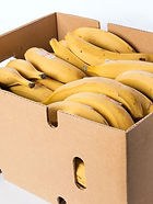 Ripe Plantain bunch available for UK delivery from 3SIEE Foods