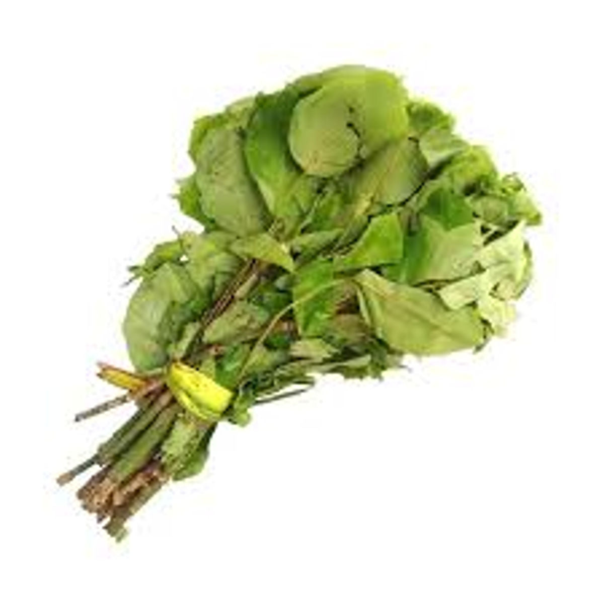 Oha Leaf (Ora) X 3 Fresh Traditional Nigerian Vegetable - Buy Fresh Vegetables Online UK | 3SIEE Foods