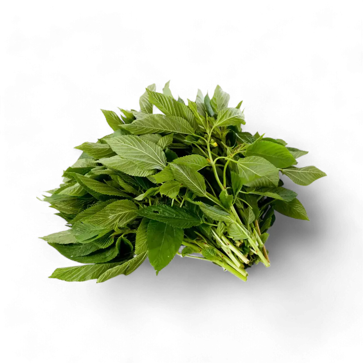 Ewedu/Jute Leaf X 2 - Buy Fresh Vegetables Online UK | 3SIEE Foods