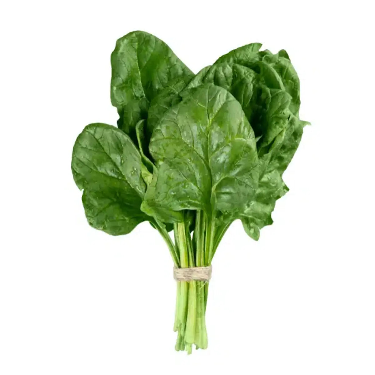 Fresh Spinach X1 Bunch - Buy Fresh Vegetables Online UK | 3SIEE Foods