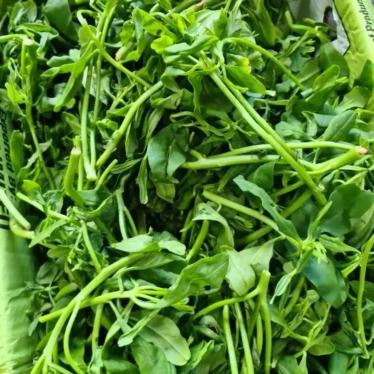 Fresh Water Leaves (Gbure) - Buy Drinks & Beverages Online UK | 3SIEE Foods