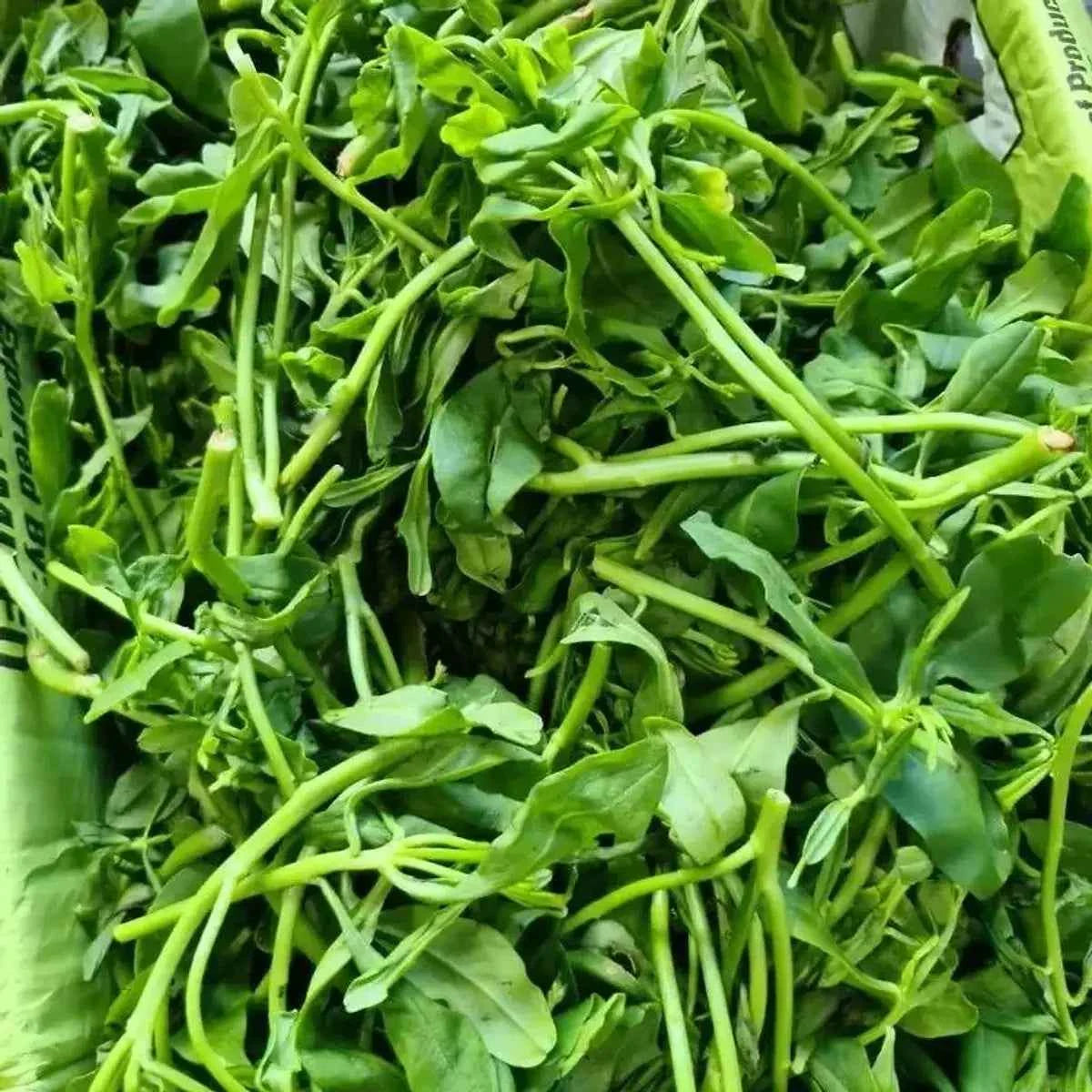 Fresh Water Leaves | Gbure product pack from 3SIEE Foods UK