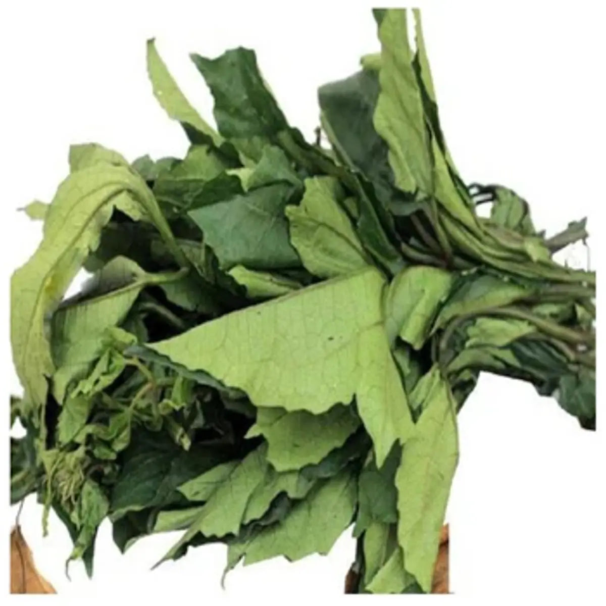 Fresh Ugwu x 2 bunches - Buy Fresh Vegetables Online UK | 3SIEE Foods